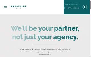 Brandlink Media website