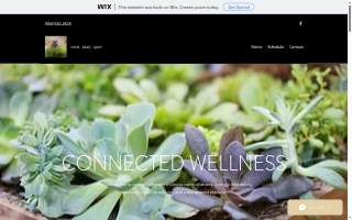 Connected Wellness LLC website