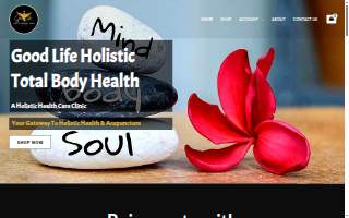 Good Life Holistic Total Body Health LLC of Glenpool website