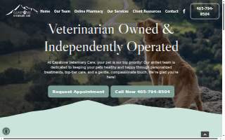 Capstone Veterinary Care website