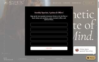 Aesthetic State of Mind website