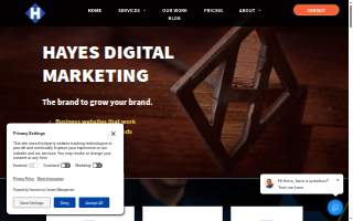 Hayes Digital Marketing website