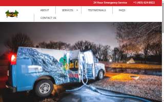 Aladen Carpet Cleaning website