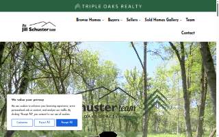 The Jill Schuster Team, Realtor, Triple Oaks Realty website