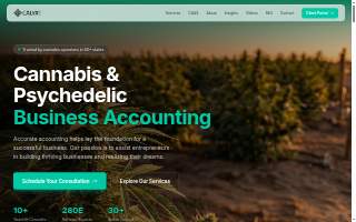Calyx CPA LLC website