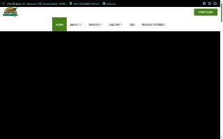 Most Wanted Painters Inc website