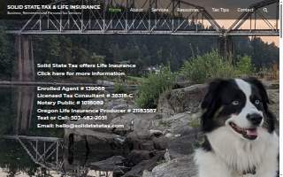 Solid State Tax & Life Insurance website