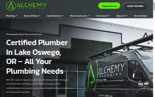 Alchemy Plumbing & Drain Cleaning website