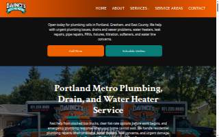 Da Vinci's Best Plumbing website