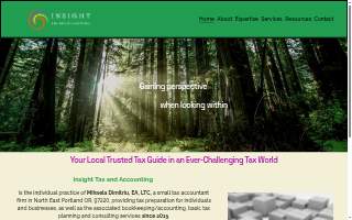 Insight Tax and Accounting website