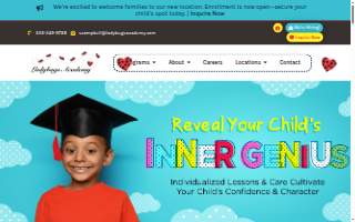 Ladybugs Academy website