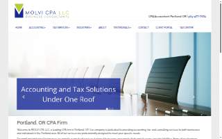 Molvi CPA LLC website