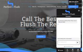 Perfect Flush website
