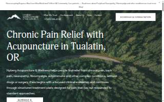 Nyberg Acupuncture & Wellness website