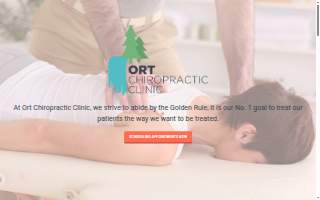 Ort Chiropractic Clinic website