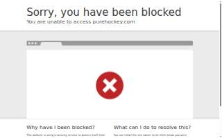 Pure Hockey website