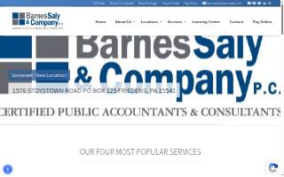 Barnes Saly & Company P.C. website