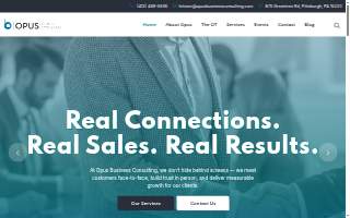 Opus Business Consulting of McCandless website