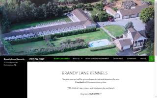Brandy Lane Kennels website