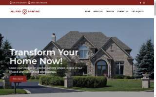 All Pro Custom Painting website