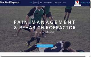 Pain Free Chiropractic website