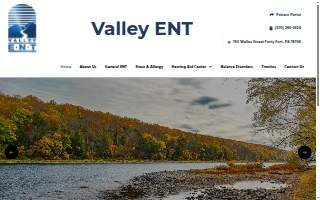 Valley ENT website