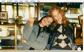 OVS LLC DBA OVS Pro website