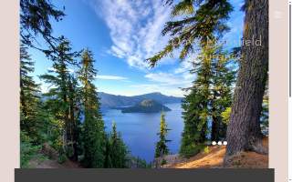 Mansfield Insurance Agency website