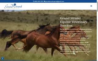 Grand Strand Equine website