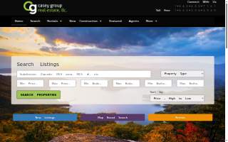 Casey Group Real Estate website