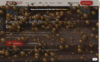 HHI Pressure Washing Guys website