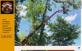 Bear Tree Care LLC - Ballentine, Irmo, Chapin website