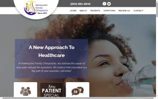 Hannouche Family Chiropractic website