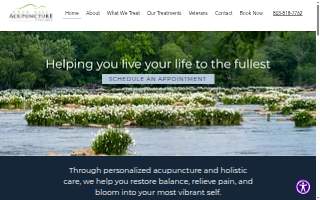 Rock Hill Acupuncture & Wellness Clinic website