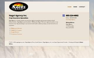Nagel Agency website