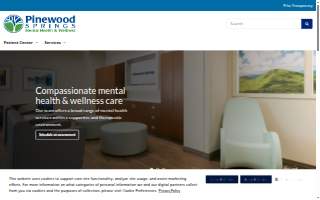 Pinewood Springs website