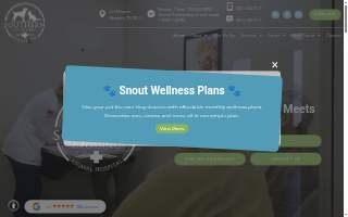 Southern Crossing Animal Hospital website