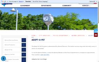 City Of Andrews Animal Shelter website