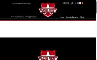 Blind Spot Surveillance website