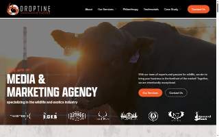 Droptine Studios website