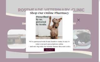 Rosemeade Veterinary Clinic website