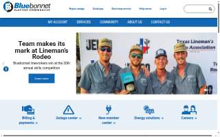 Bluebonnet Mail & Business Center website