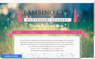 Bambino City Montessori Academy website
