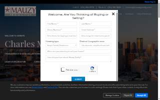 Mauzy Realty website