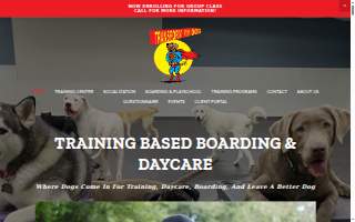 Transform My Dog website