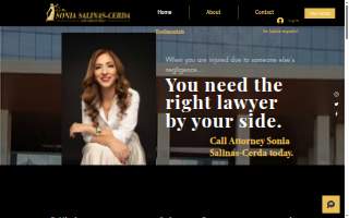 The Sonia Salinas-Cerda Law Group, PLLC website