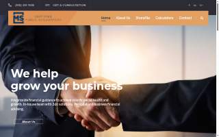 Michael L. Schmid CPA, PLLC website