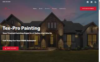 Tex Pro Painting website