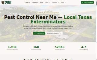 Texas Bug Slayers website