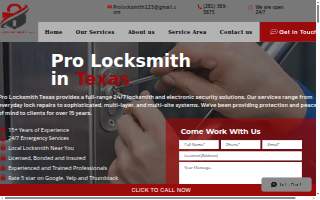 Pro Locksmith website